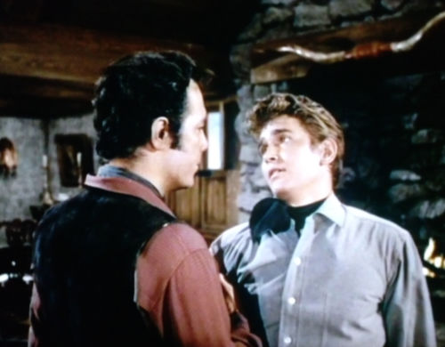 Joseph "Little Joe" Cartwright in "Bonanza"