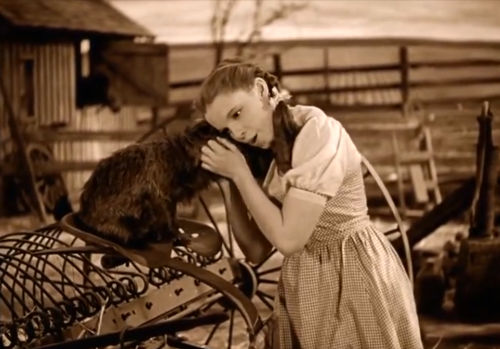 Dorothee Gale in "Der Zauberer von Oz"